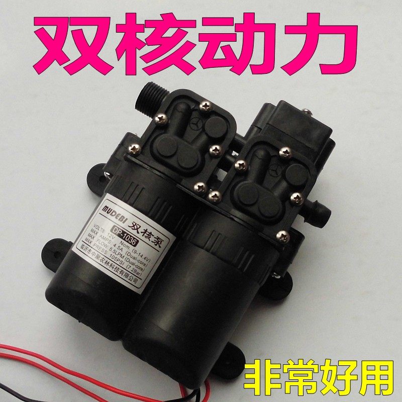 新款大功率电动喷雾器隔膜泵洗车双动力增压泵12V双核水泵压力泵