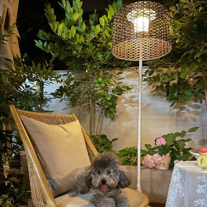院子造景一楼小院花园装饰户外灯别墅装修草坪灯落地灯花园套餐灯