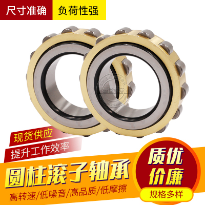 减速机轴承RN305 306 307 308 309 310 311 312 313 328 M