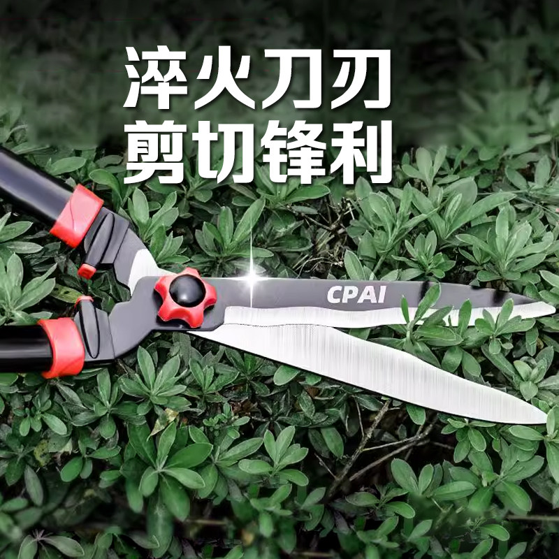 剪枝专用剪刀修树枝果树园艺花卉绿篱枝条修剪粗枝省力大剪刀sk5图片