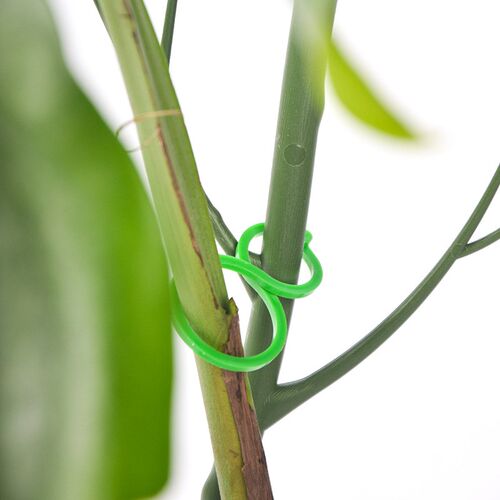 树枝型植物支撑杆龟背竹文竹防倒伏爬藤花卉园艺爬藤杆花架支撑杆