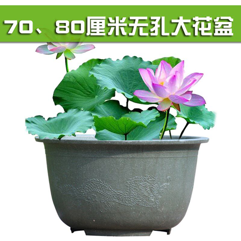 特大加厚无孔塑料花盆 水培龙缸盆 绿植花卉睡莲荷花专用盆无托