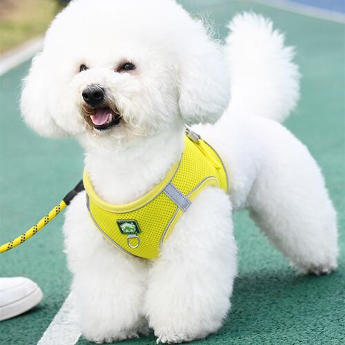 背心式狗狗牵引绳小型犬比熊泰迪博美小狗幼犬胸背带遛狗绳狗链子