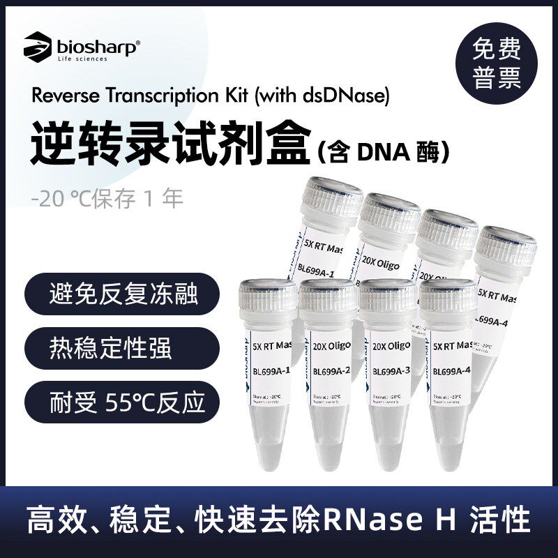 BL699A 逆转录试剂盒(含 DNA 酶)去除基因组 DNA 污染