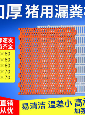 加厚猪用塑料漏粪板猪圈母猪产床保育床小猪专用双筋漏粪板养殖场