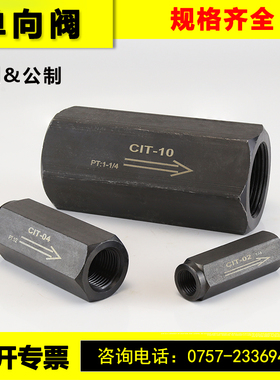 液压管式单向阀2分3分CIT碳钢公制英制内螺牙直通高压安全止回阀