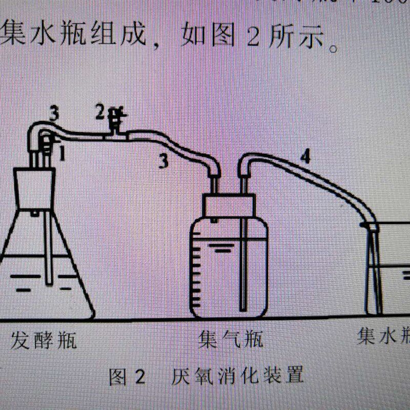 玻璃厌氧消化装置250 500 1000ml实验化学发酵瓶+集气瓶+集水瓶器