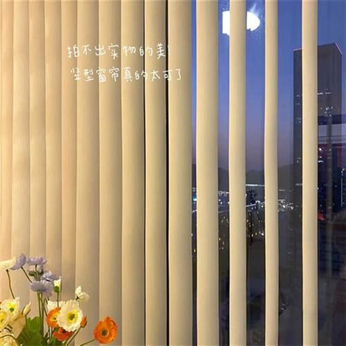 梦幻帘窗帘垂直帘阳台客厅梦幻窗帘透光不透人纱帘U电动竖百叶窗