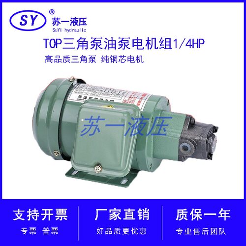 摆线油泵电机TOP-12A三角齿轮泵TOP11A/13A机床润滑380V抽油1/4HP