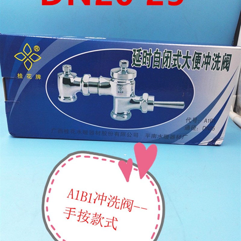 桂花牌A1B1手按式冲洗阀 大便冲洗阀门 厕所蹲坑冲水阀DN20 25