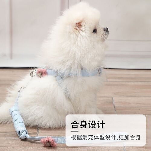 狗狗泰迪小型犬背心式遛狗小狗幼犬夏牵引绳比熊狗绳子宠物狗炼子