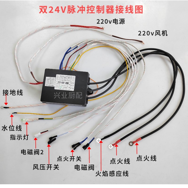 蒸汽机蒸炉24V双阀控制器 商用蒸器发生器本威电子板通用配件