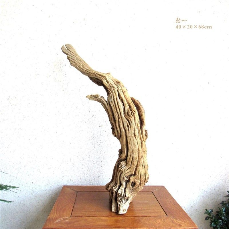 千年胡杨老木风化枯木根艺根雕整体随形摆件自然生态创意家居软装