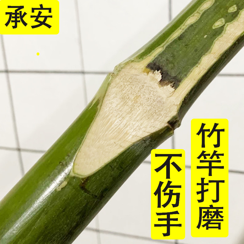承安庭院小扫把精致款扫院子竹扫把户外扫帚大扫把扫马路庭院室外