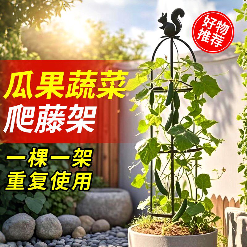 蔬菜爬藤架花架葡萄黄瓜丝瓜西瓜豆角葫芦瓜果植物新型爬藤支架子图片