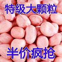 【净重】2025无壳花生米新货粉皮新鲜大粒粉红榨油白沙批发花生仁
