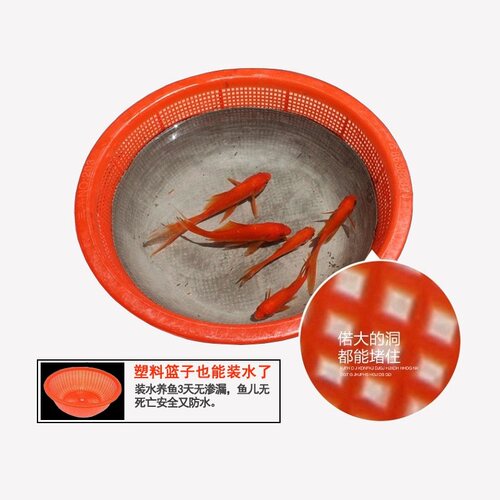 JS聚合物防水涂料屋顶厨房卫生间房顶补漏王柔韧型蓝色原液材料胶