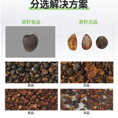 20058025年茶籽色选机专筛业分选油籽绿茶籽选红破皮脱壳分级机茶
