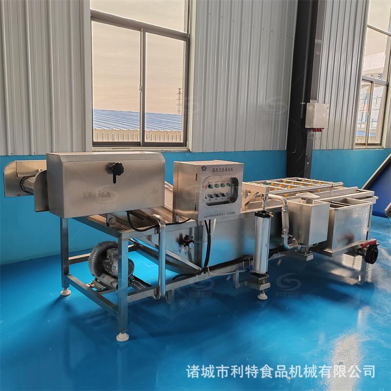 桑JJL叶泥气泡清洗机菜去清洗设备全自动菜清洗流水叶线工蔬厂