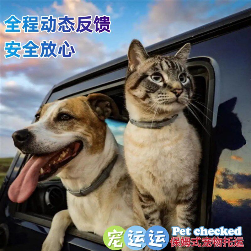 香港宠运运宠物托运狗狗猫咪出行活动体运输航空箱实体店