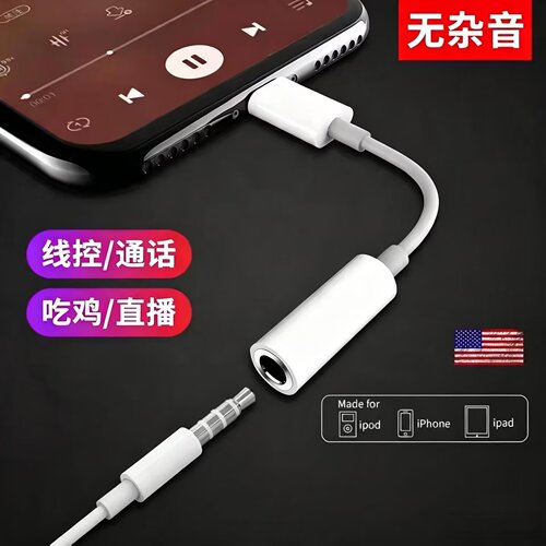iPhone通用Lightning转接头