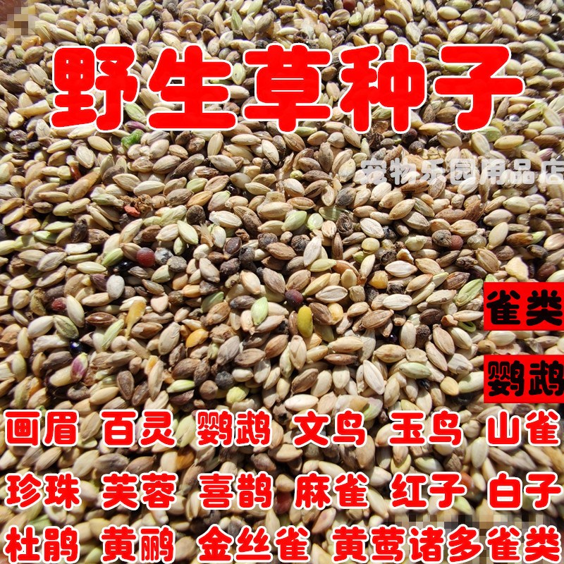 鹦鹉鸟食鸟粮野草草籽混合饲料珍鸟食