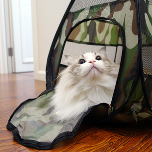 田田猫四季猫房子封闭式猫窝猫帐篷猫隧道猫咪用品猫垫宠物猫玩具