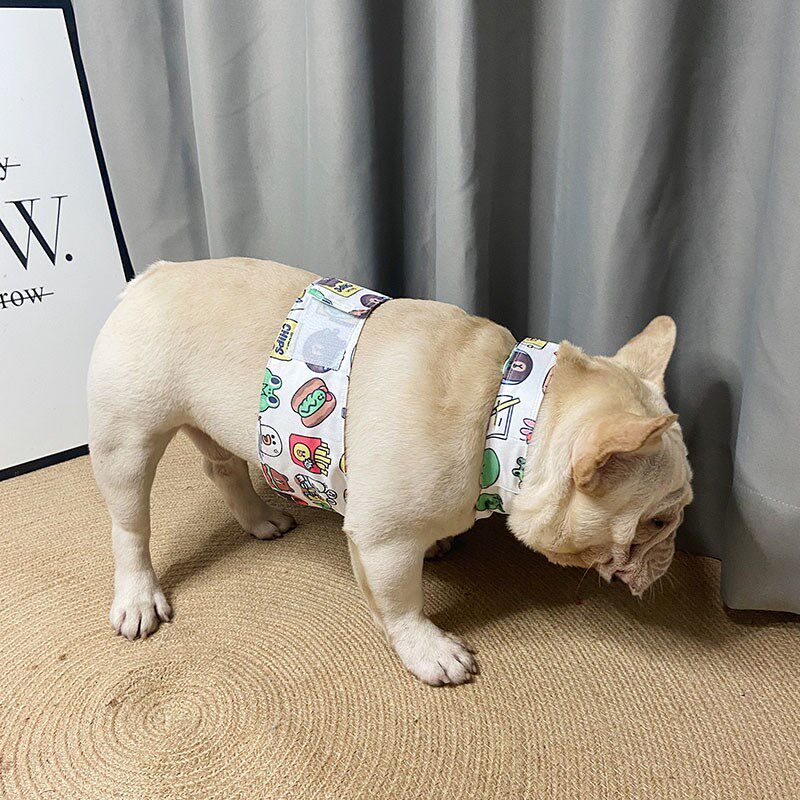 夏季宠物降温斗牛犬背心背带狗狗凉凉衣雪纳瑞巴哥法斗外出小型犬
