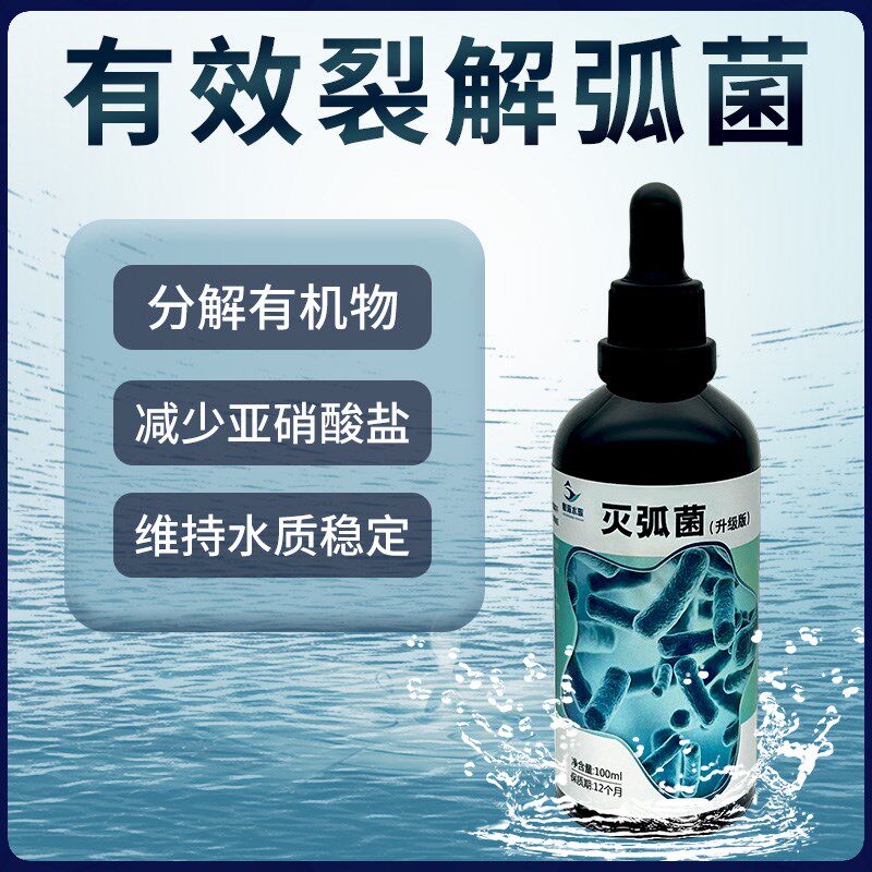 粤海灭弧菌针叶类珊瑚细菌感染布朗冻海水鱼内疾肠炎鱼瘦肚子干瘪