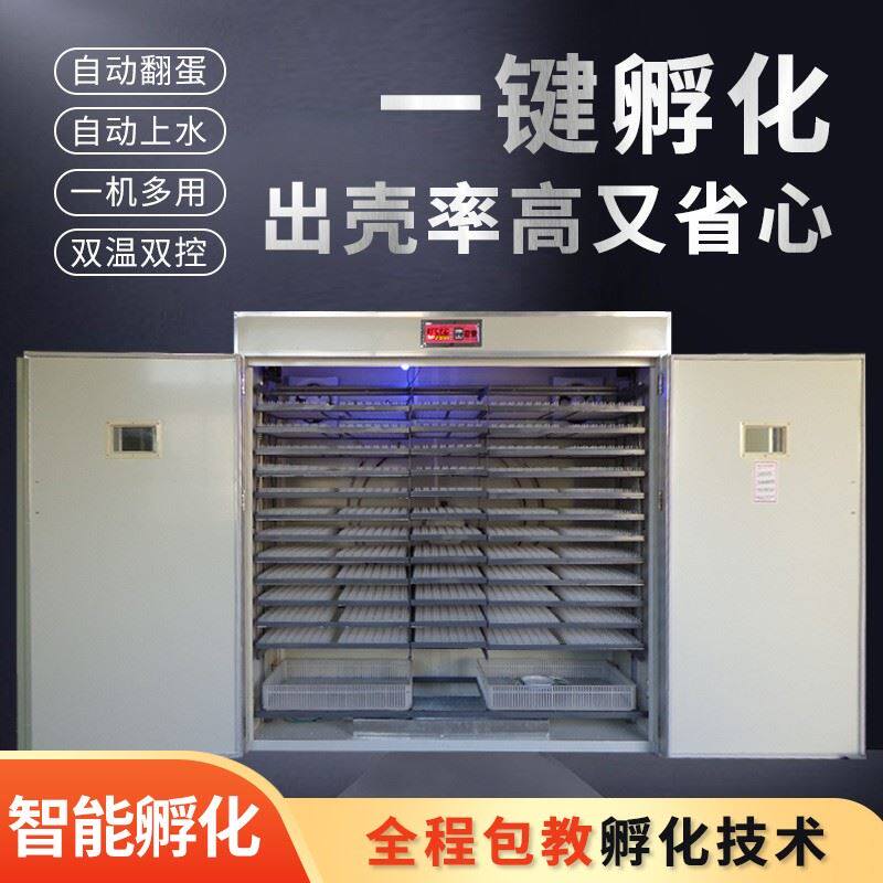 全自动孵蛋器鸡蛋孵化器大中小型孵化机家用型鸭鹅蛋抱蛋机卵化器