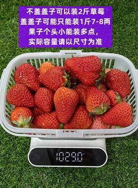 2斤装塑料水果篮子带盖子草莓篮杨梅篮桑葚篮樱桃小篮子方蓝手提
