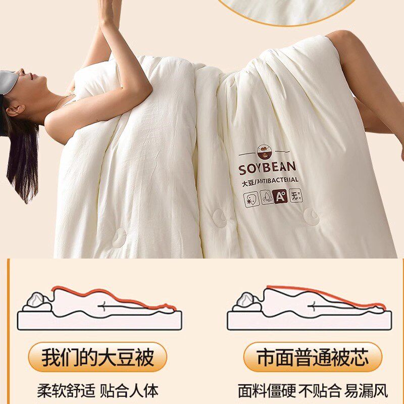 黛佳薇A类大豆纤维被加厚10斤化纤被