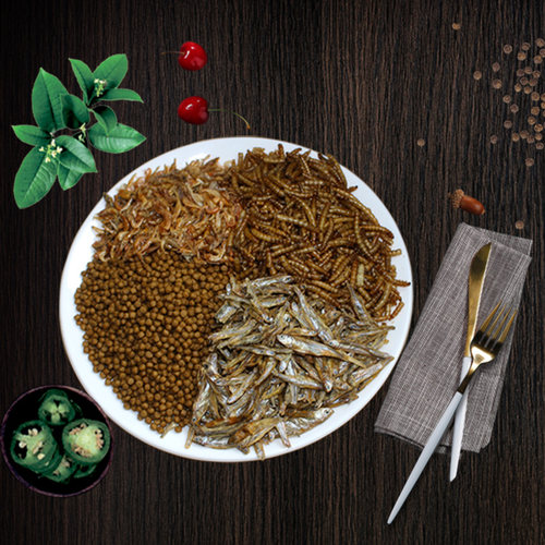 疯狂的龟 小乌龟饲料草龟粮龟料淡水鱼干虾干面包虫干漂浮颗粒粮
