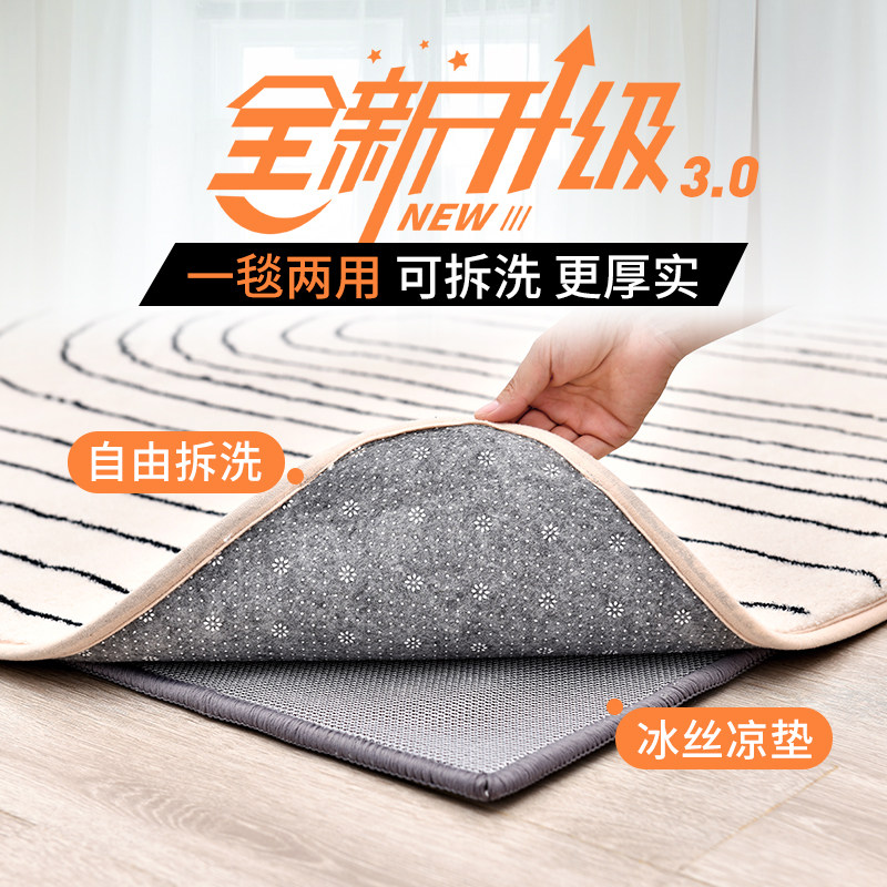 可拆洗机洗水洗石墨烯电热地毯家用客厅移动地暖垫加热暖脚取暖垫