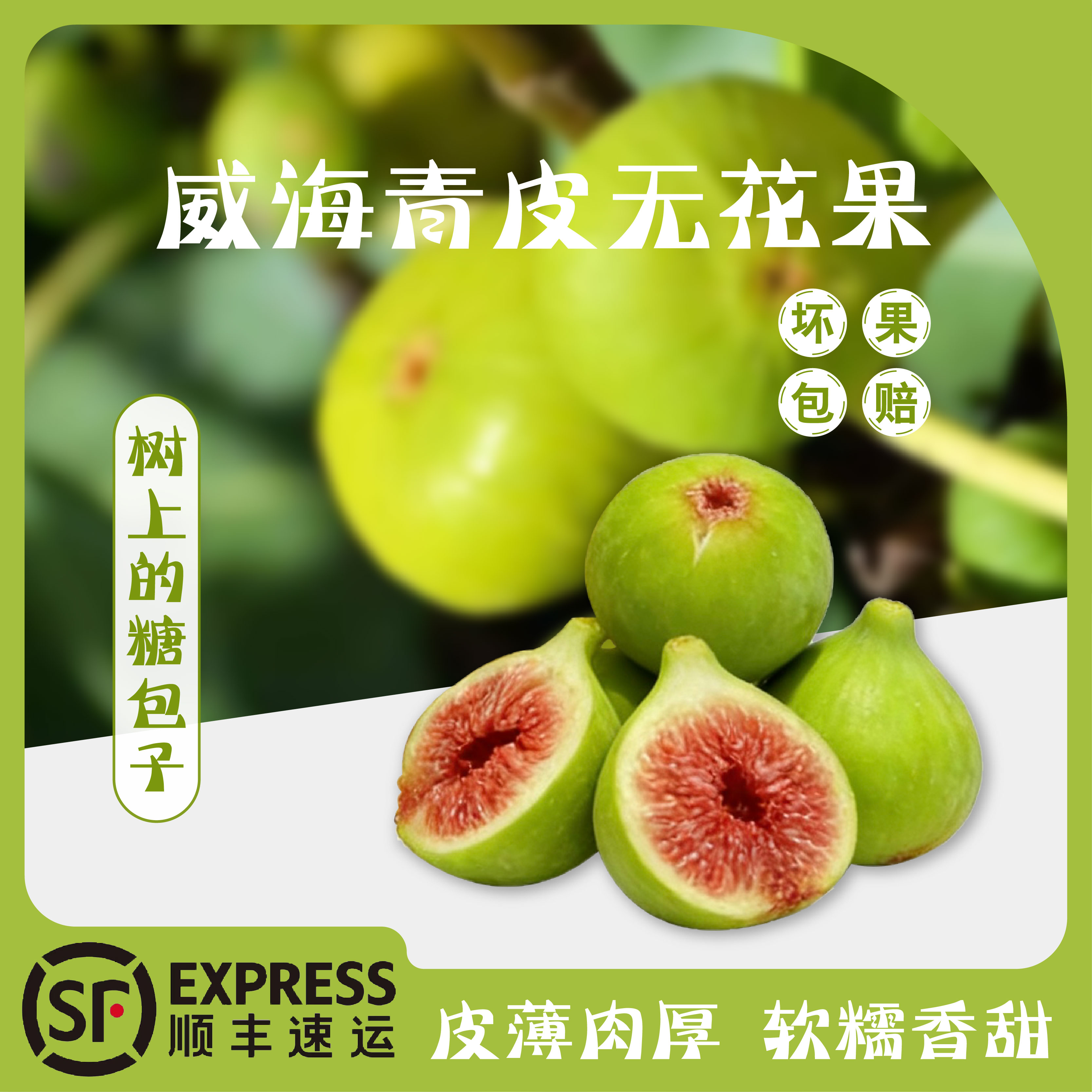 鲜无花果新鲜现摘青皮无花果鲜果应季水果当季顺丰包邮产自山东