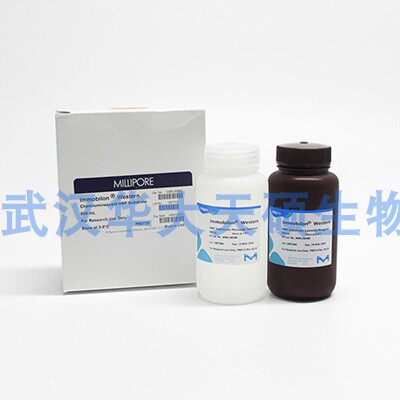 Millipore WBKLS0500 发光底物HRP ECL发光液 500ml Western 包邮
