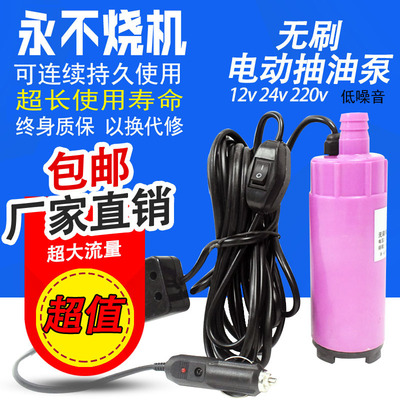 无刷电机抽油泵电动柴油抽油器12v24v220v车载抽酒泵小型抽水泵