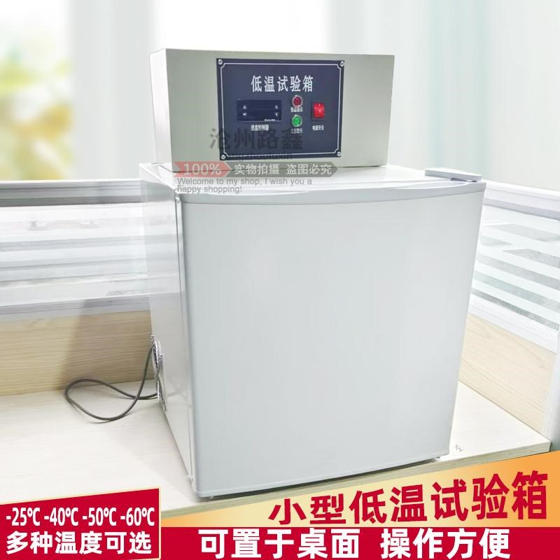 小型低温试验箱实验室用冷冻冰柜DW-25/40/50/60低温冰箱置于 于