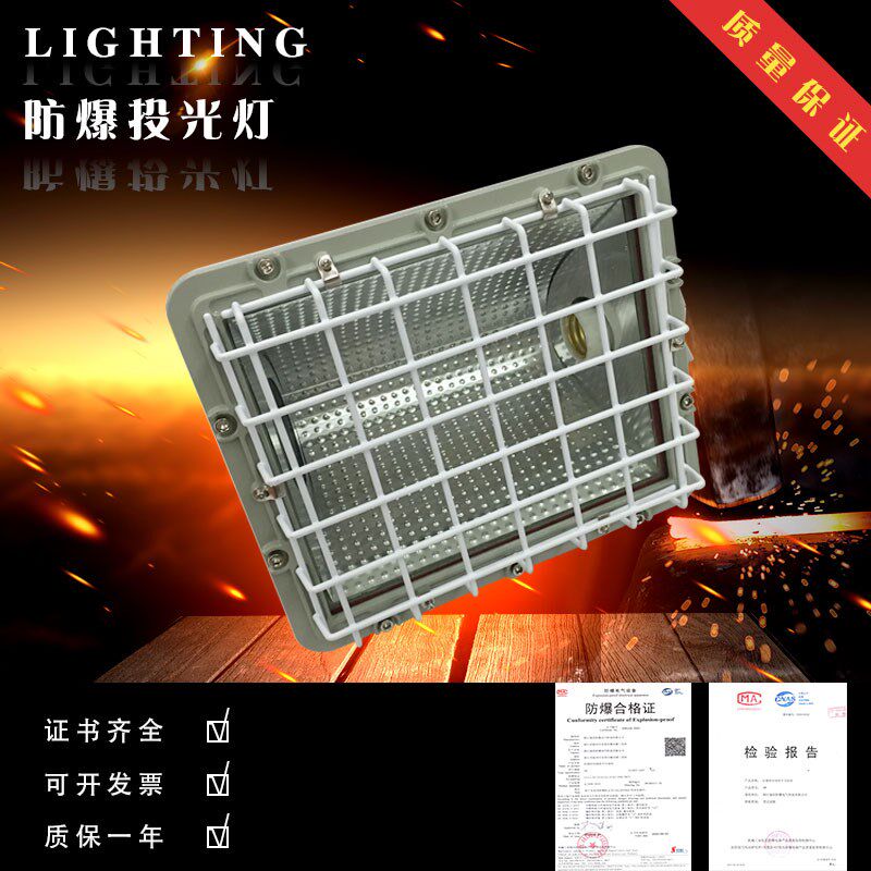 【冲钻特价】防爆投光灯 BTD 防爆射灯 防爆照明灯 防爆探照灯