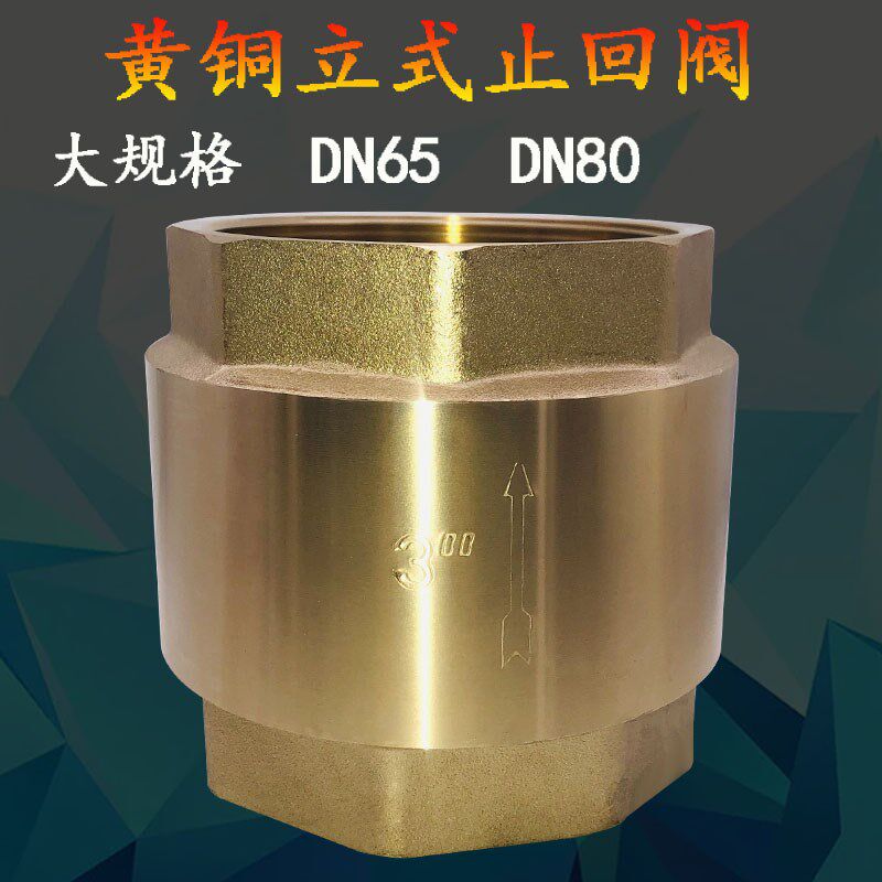 黄铜立式止回阀2.5寸3寸内螺纹加厚单向阀逆止阀水管水阀 65 80