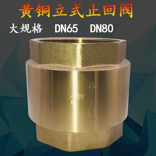 黄铜立式止回阀2.5寸3寸内螺纹加厚单向阀逆止阀水管水阀 65 80