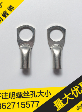 10平方铜鼻子JG10-12大孔紫铜镀锡 铜接线鼻子铜线耳铜接头铜端子