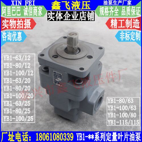 YB1-63/12双联叶片泵YB1-100/25定量油泵YB1-80/20液压泵115 115