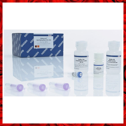 进口Qiagen快速方便凝胶试剂盒Gel Extraction Kit 28704 28706
