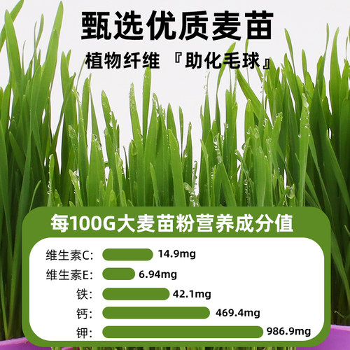 猫草冻干猫草粒化毛球片懒人猫草棒磨牙猫咪零食饼干猫薄荷食猫草