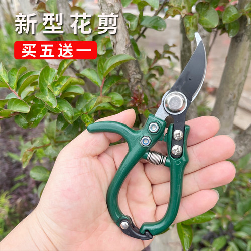 修枝剪子葡萄摘果剪 园林果树剪刀粗枝花剪 省力树枝修花园艺剪刀