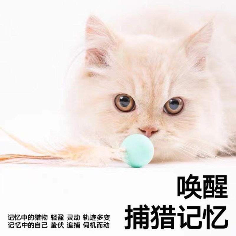 羽毛弹力球猫玩具自嗨解闷弹球逗猫棒狗玩具磨牙耐咬猫咪用品大全