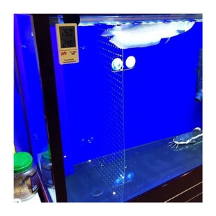 鱼缸隔断隔离板网板隔离神器透明可裁剪盖板分隔板隔离网配件大全