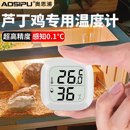 芦丁鸡专用温度计养殖育雏孵化箱高精度温湿度计养鸡场宠物温度计