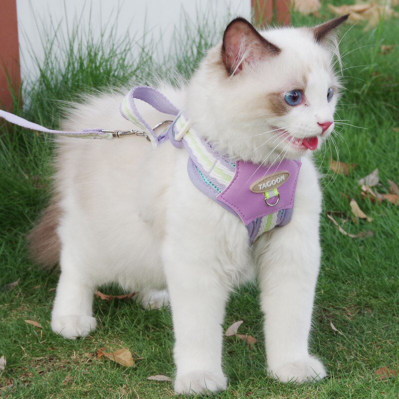 猫咪牵引绳防挣脱外出专用溜猫绳宠物背带链子可调节网红遛猫神器